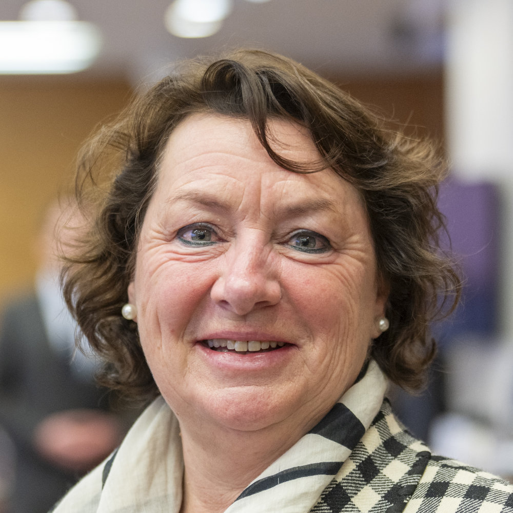 Anne Henk-Hollstein